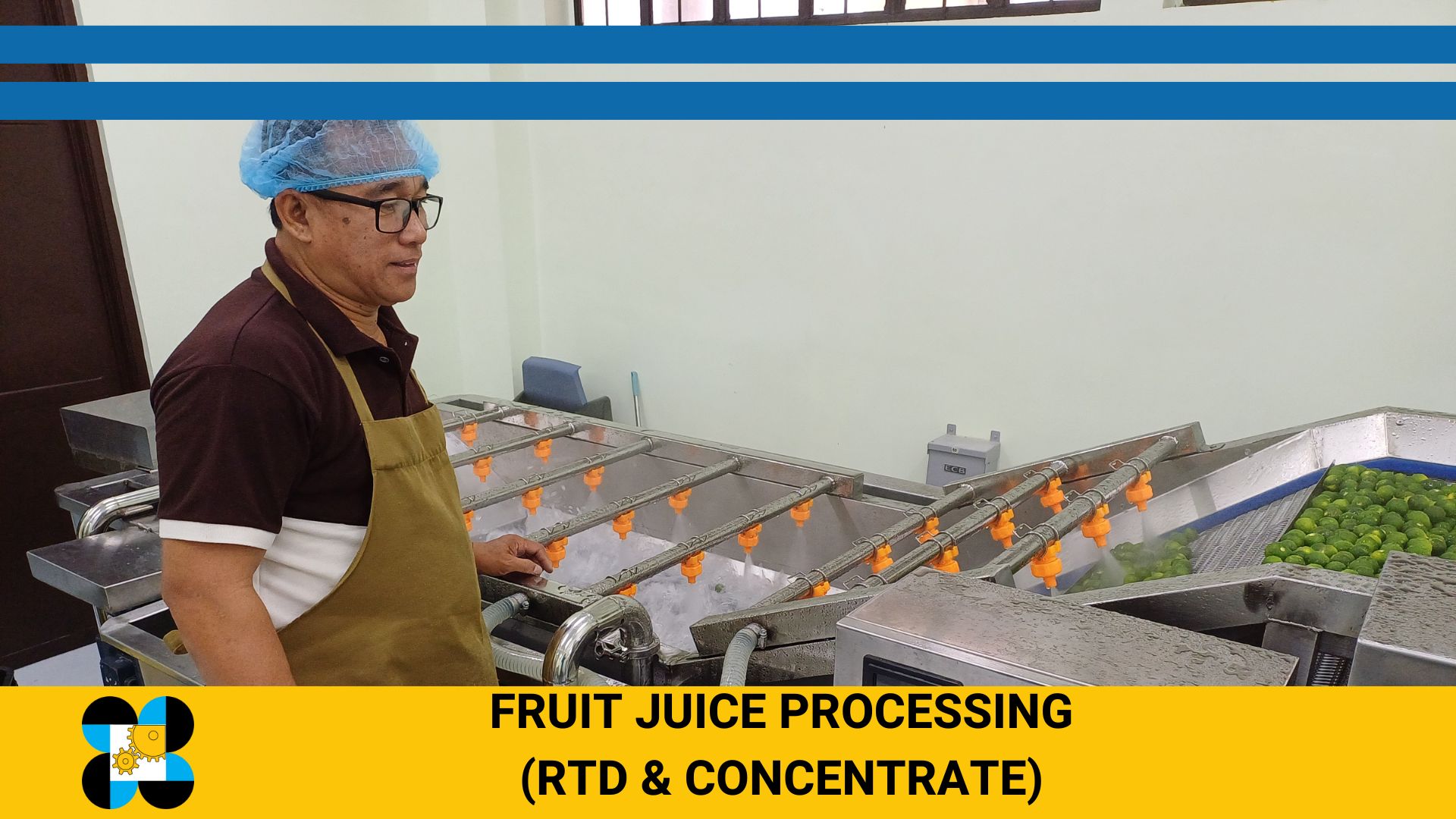 Fruit Juice Processing